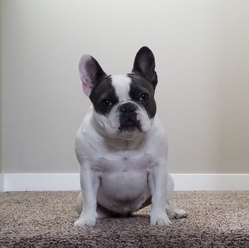 Meet your Posher, Mary